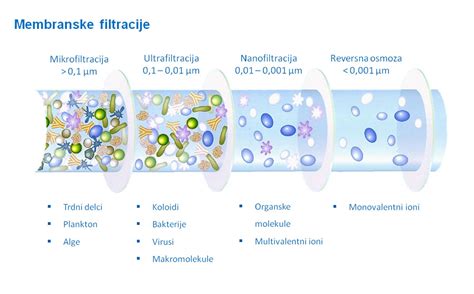 Diagram, ki prikazuje proces filtracije v ledvicah