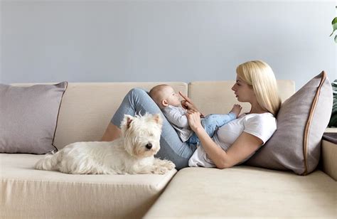 Prvi stik novorojenčka in psa