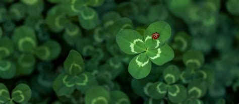 Simbolična slika zdravja in sreče