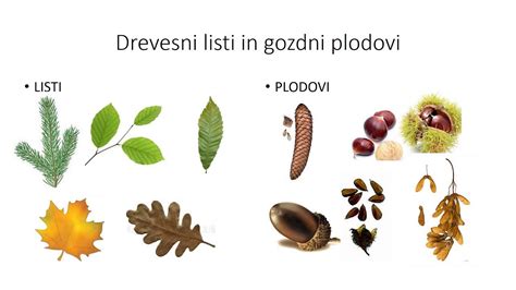 različni plodovi