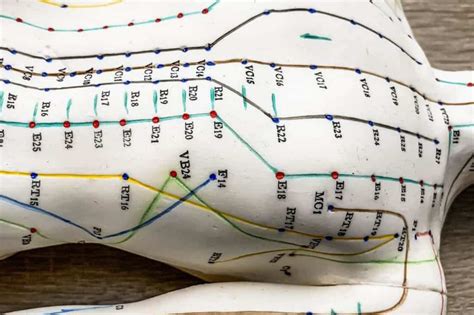 Akupunkturne točke na telesu