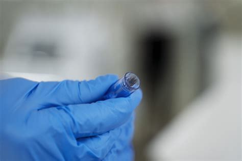 Zamrznjeni zarodki v epruvetkah