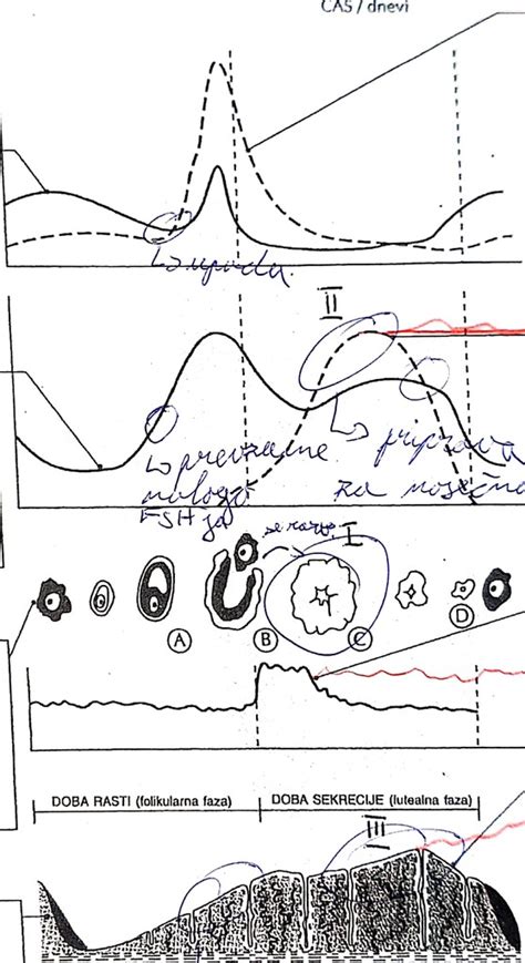 Diagram prikazuje cikel uporabe NuvaRinga, vključno z vstavljanjem, nošenjem in tednom premora.