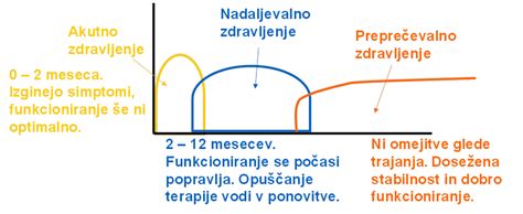 Infografika o tveganjih in koristih zdravljenja bipolarne motnje med nosečnostjo