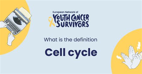 Diagram celičnega cikla