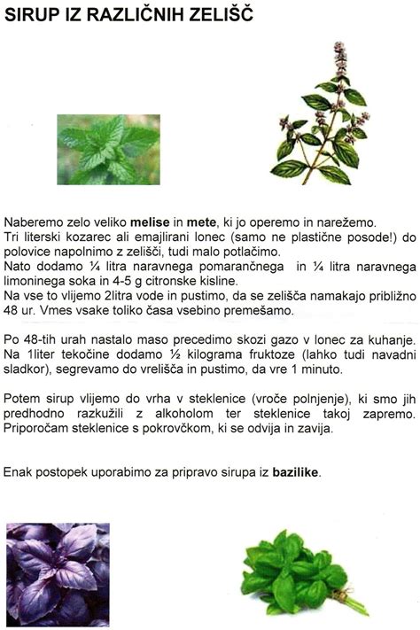 Ilustracija različnih zelišč
