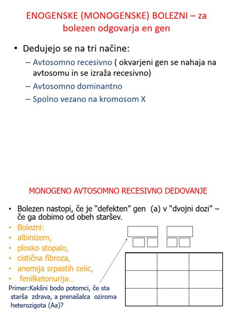 Diagram zarodkovih ovojnic pri človeku