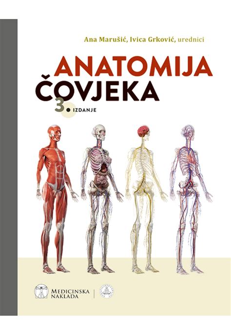 Natančna anatomija ženskega in moškega sečnega sistema