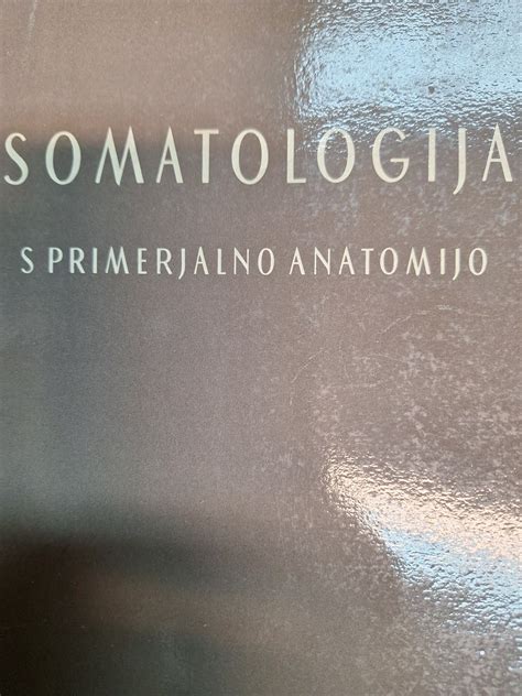 primer lista s C4 anatomijo (Kranz anatomija)