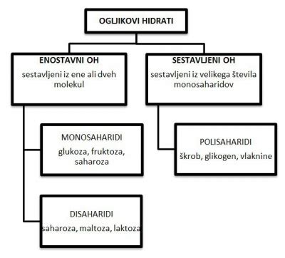 Različne vrste ogljikovih hidratov