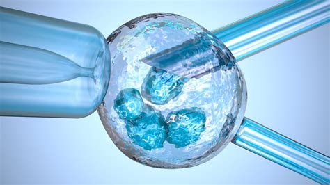 Zamrznitev jajčnih celic