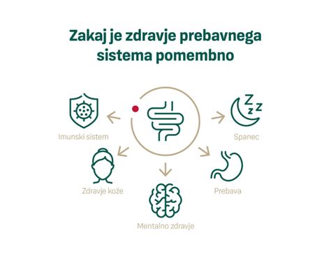 Infografika prebavnega sistema