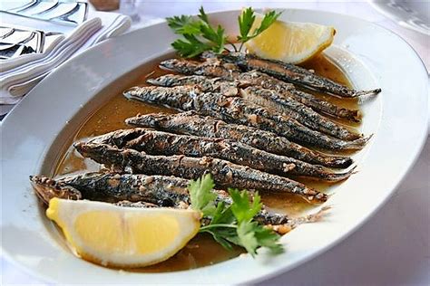 Različne vrste rib, ki so priporočljive v nosečnosti