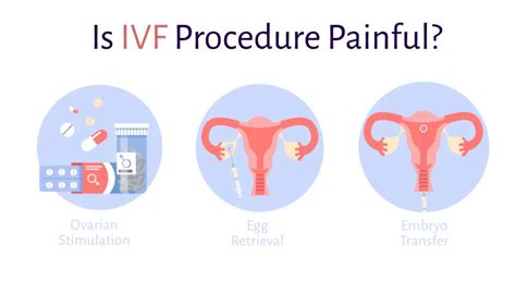 vizualizacija IVF postopka