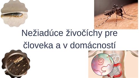 Simbolična podoba zdravega in bolnega človeka z vplivom na ščitnico