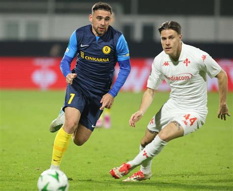 Novi začetki in potencial