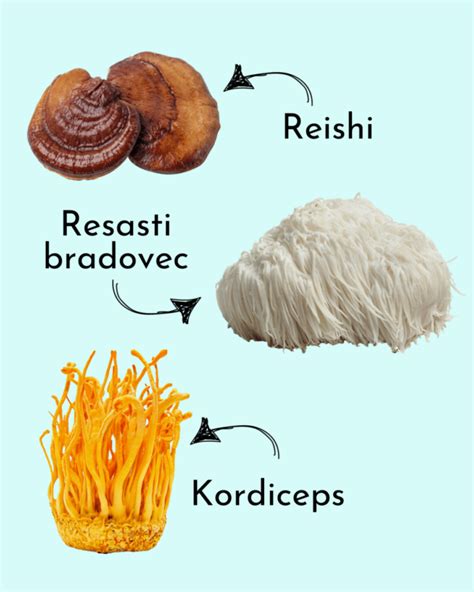 Različne vrste gob