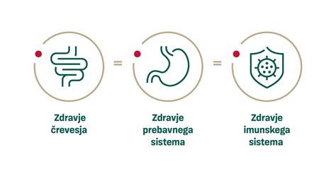 Diagram prebavnega sistema dojenčka