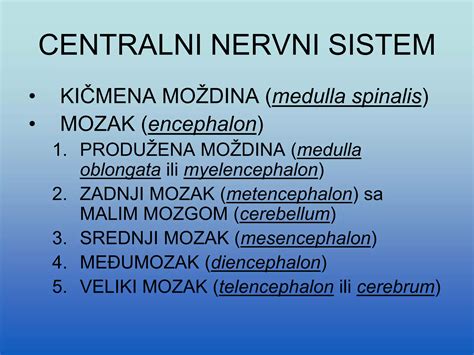 anatomija ženskega urinarnega sistema