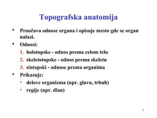 Anatomija pazdušne regije s poudarkom na bezgavkah in mlečnih žlezah