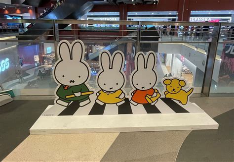 Miffy darila