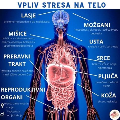 Grafikon, ki prikazuje vpliv stresa na hormonsko os