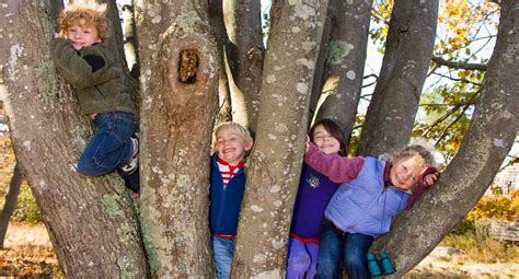 Nosečnica nežno telovadi v naravi