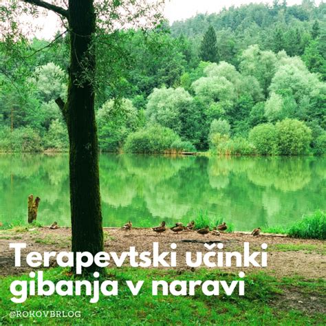 primer orjaškega dežena v naravi
