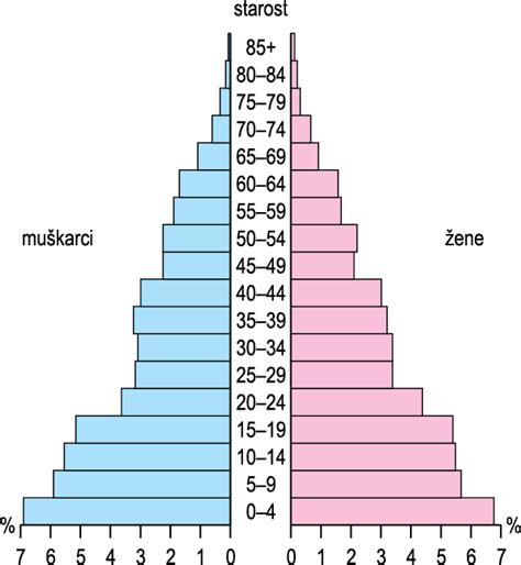 Grafikon s prikazom dejavnikov tveganja za rizično nosečnost