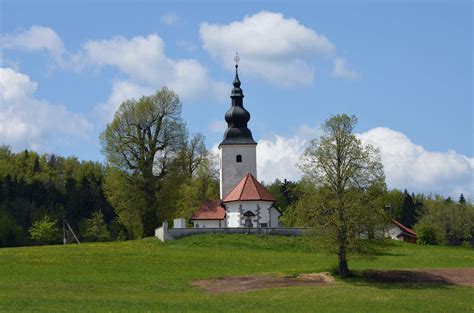 Gora nad Sodražico