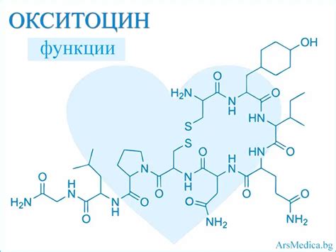Ilustracija hormonov prolaktin in oksitocin.