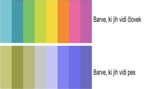Spekter barv naravnih sestavin