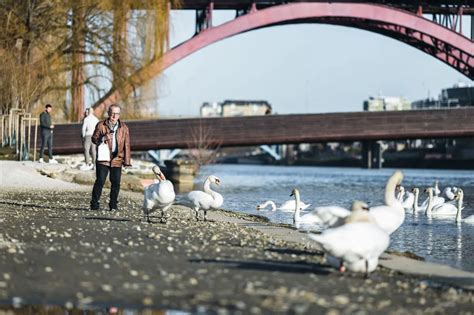 Pristanišče Lent v Mariboru nekoč