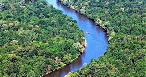 Biosferni rezervat Mura-Drava-Donava