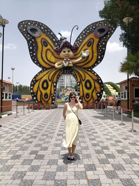 Graf razvoja teže in dolžine ploda skozi drugo trimesečje