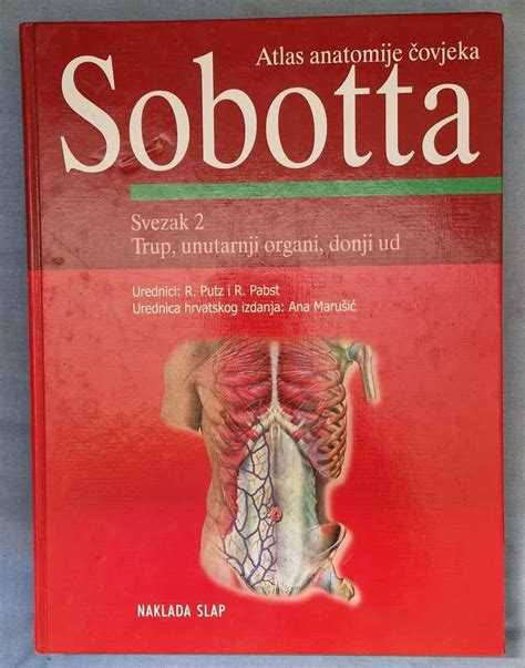 Diagram anatomije sečil