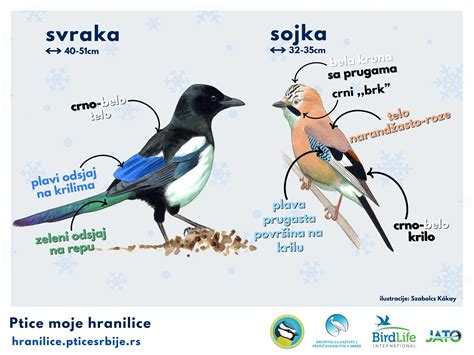 simbolična slika para, ki čaka