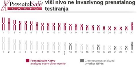 Diagram, ki prikazuje princip delovanja NIPT testa