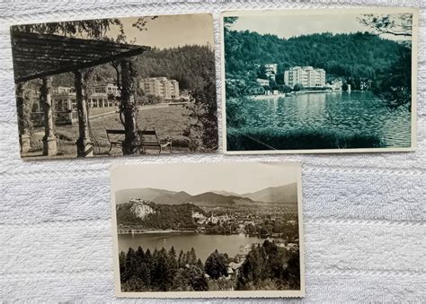 slika bujnega zelenja ob blejskem jezeru