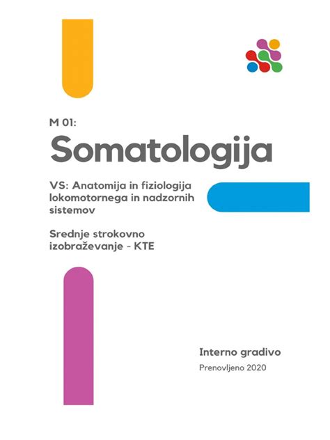 Anatomija ženskega reproduktivnega sistema z označenim položajem materničnega vložka
