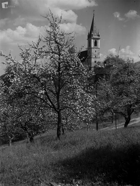Prekmurska pokrajina s cerkvijo