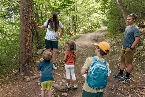 Fotografija družine ob posaditvi mladega drevesa