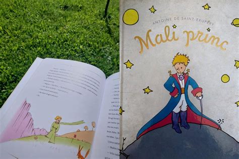 Ilustracija iz knjige Mali Princ
