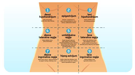 Primerjava trebuha pred in po uporabi poporodnega pasu