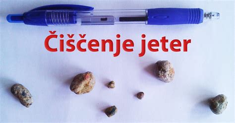 Ilustracija jeter z označenimi žolčnimi potmi