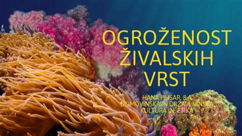 Primerjava jajc različnih živalskih vrst