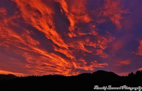 Par, ki se drži za roke in gledata v sončni zahod