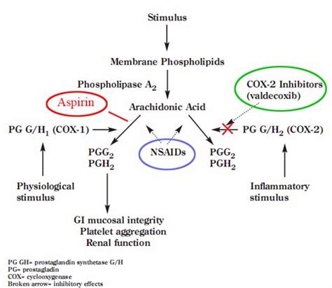 Diagram delovanja NSAID na sintezo prostaglandinov