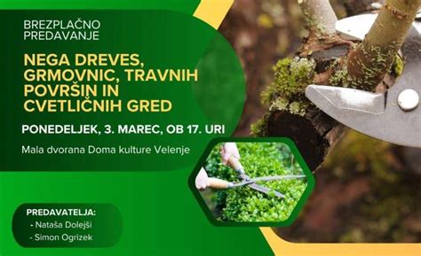 infografika o pravilni negi nohtov