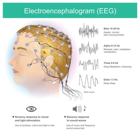 Elektroencefalogram (EEG) možganske aktivnosti
